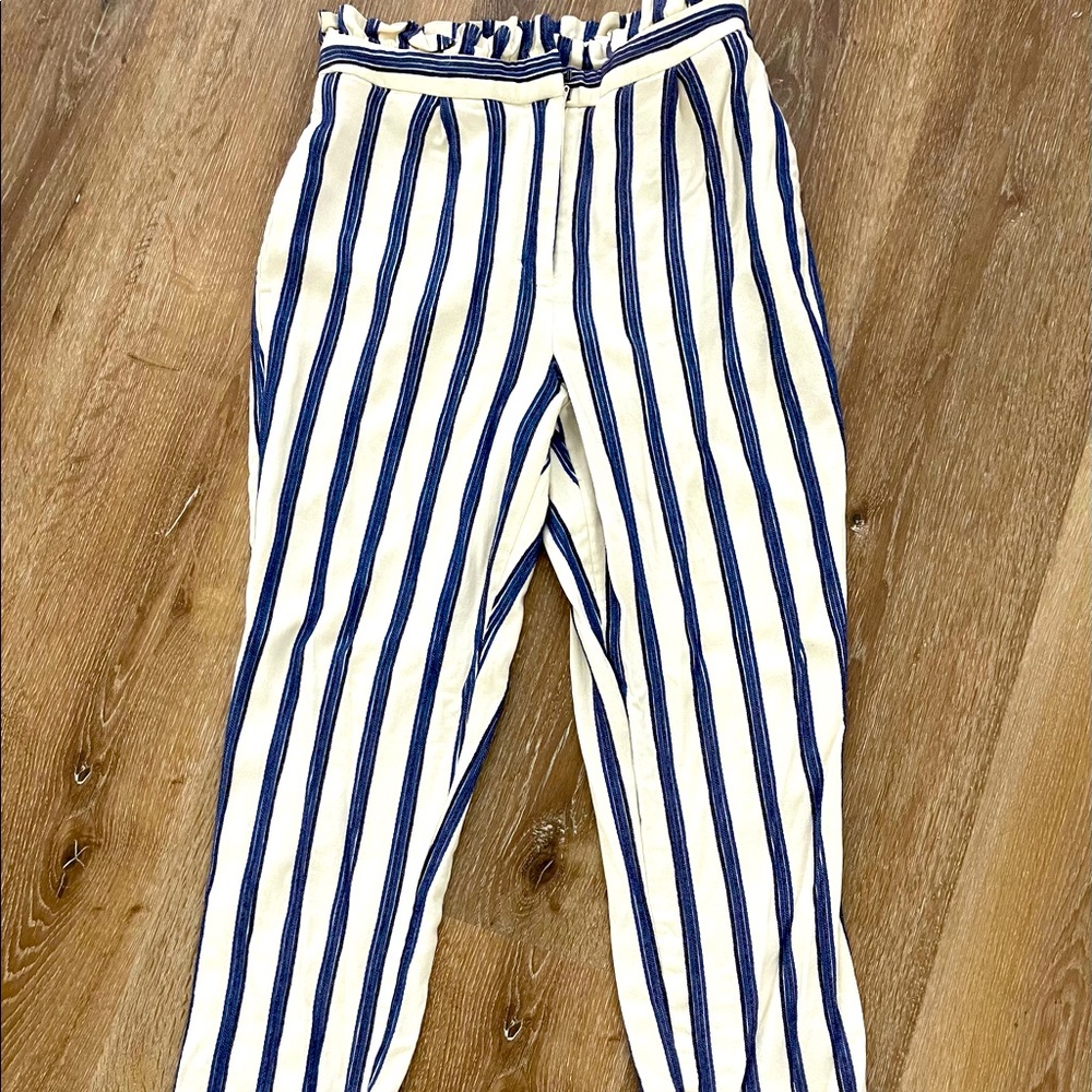 Express Casual Dress Pant